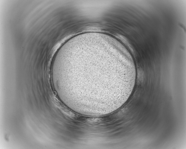 X0000101431435200807280951