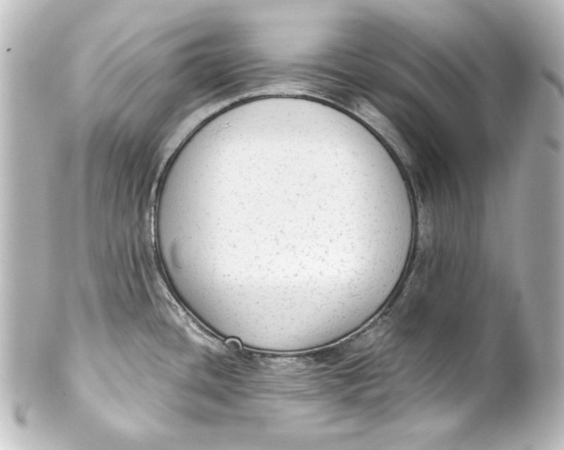 X0000101431436200807280951