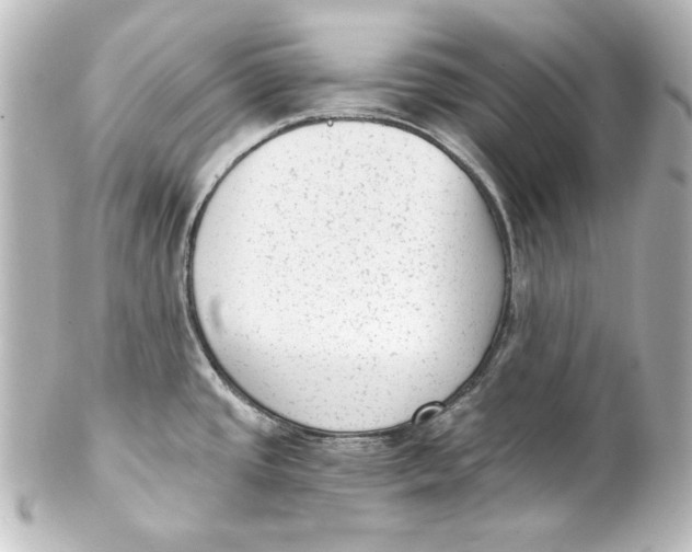 X0000101431437200807280951