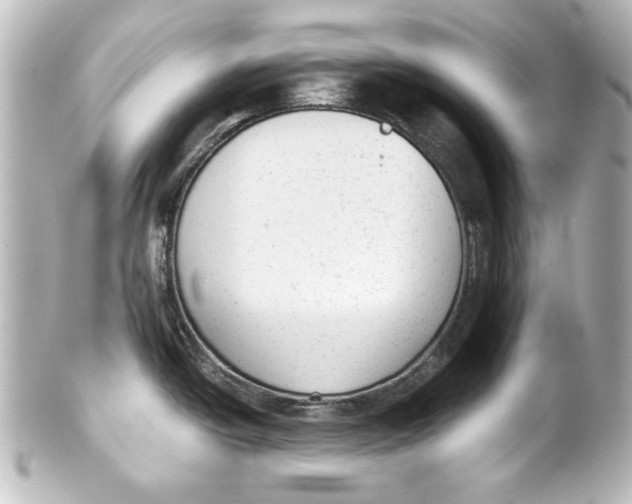 X0000101431438200807280951