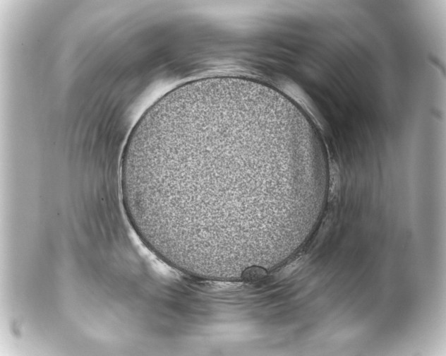 X0000101431439200807280951