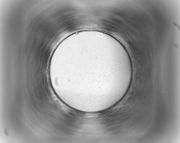 X0000101431440200807280951