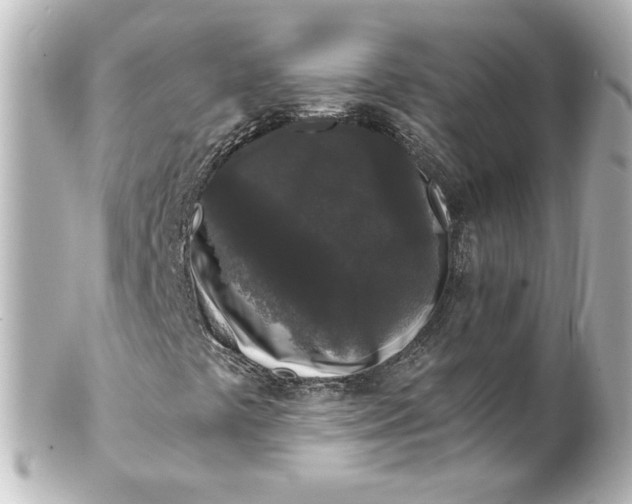 X0000101431441200807280950