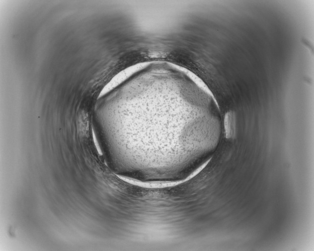 X0000101431443200807280950