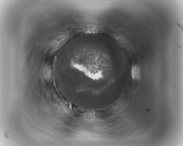 X0000101431444200807280950