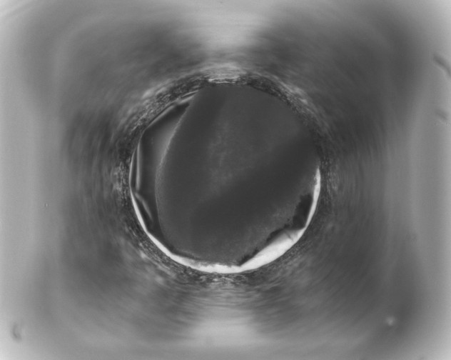 X0000101431445200807280950