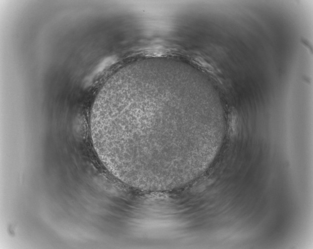 X0000101431446200807280950