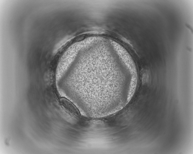 X0000101431448200807280950