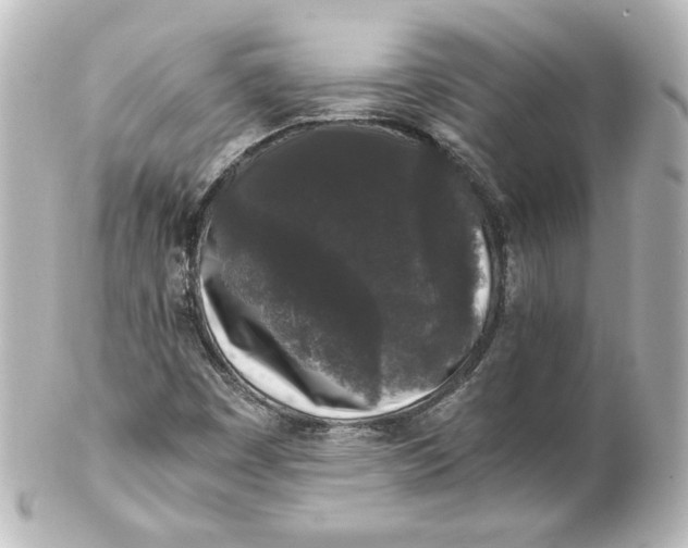 X0000101431449200807280950