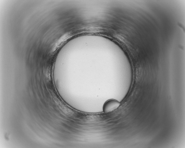 X0000101431451200807280950