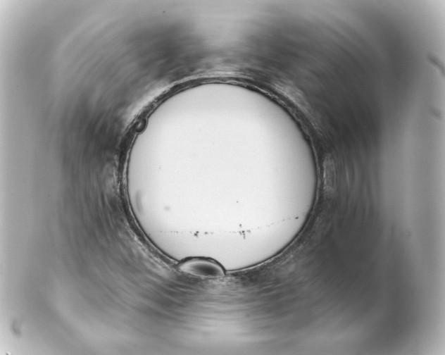 X0000101431452200807280950