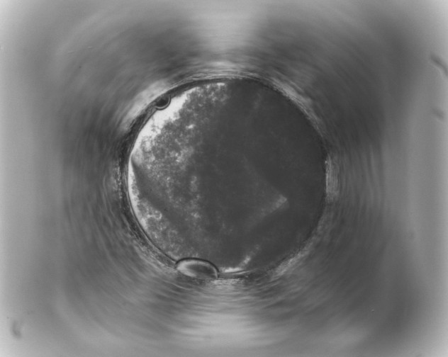 X0000101431453200807280950