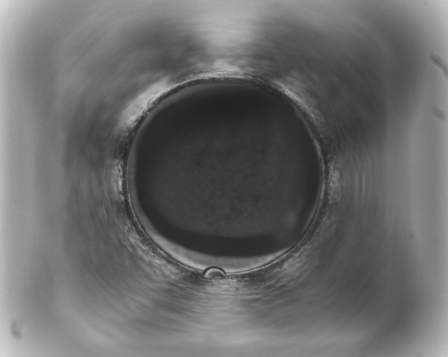 X0000101431455200807280950