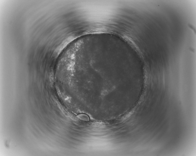 X0000101431457200807280950