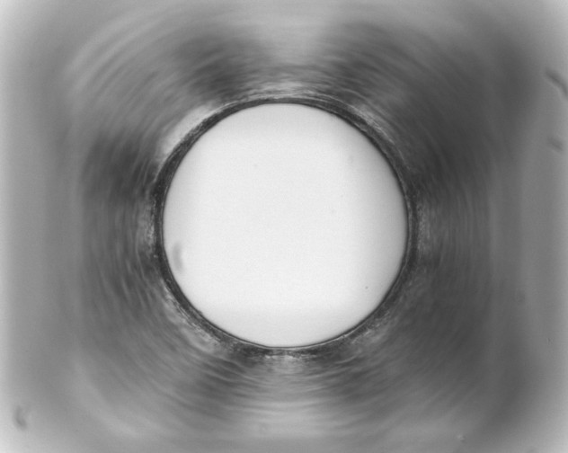 X0000101431458200807280950