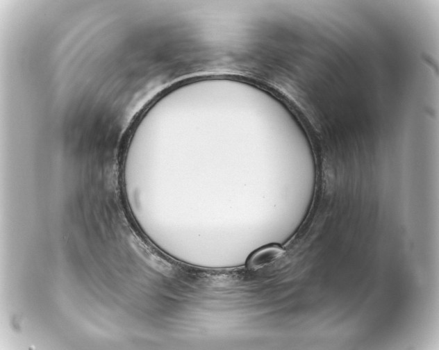 X0000101431460200807280950