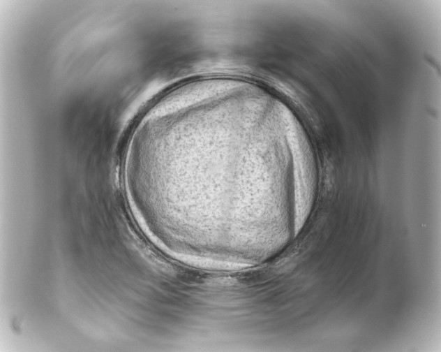 X0000101431462200807280950