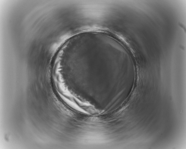 X0000101431463200807280950