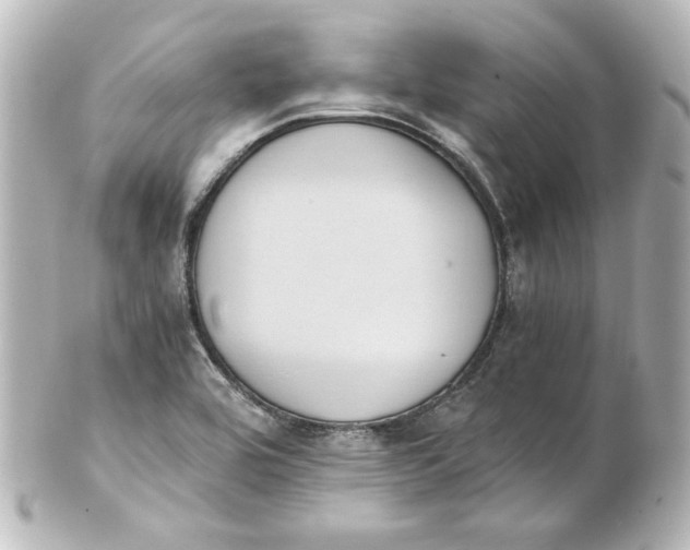 X0000101431464200807280950