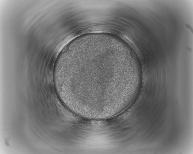 X0000101431465200807280950