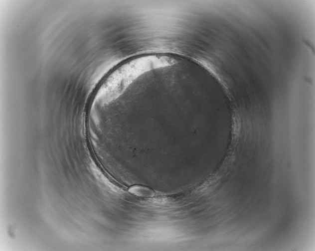 X0000101431468200807280950