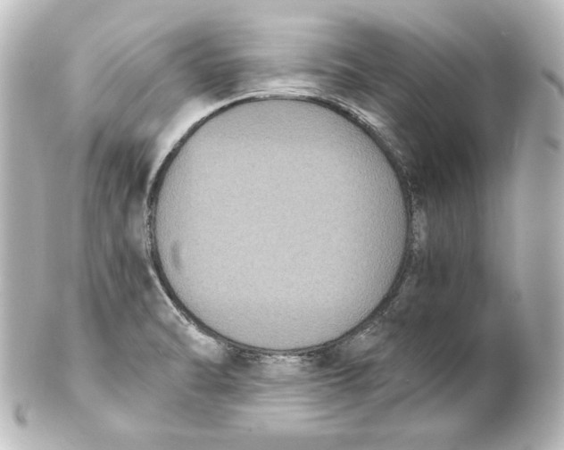 X0000101431470200807280950