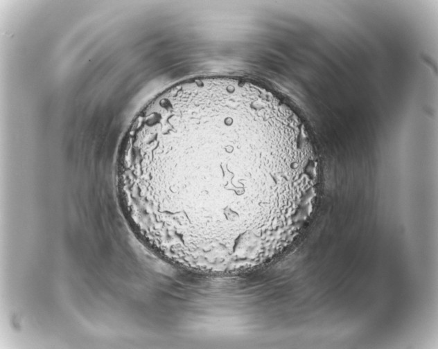 X0000101431471200807280950