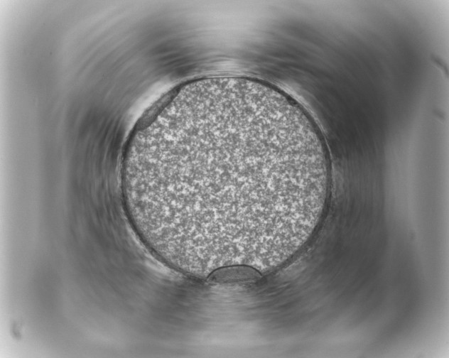 X0000101431477200807280950