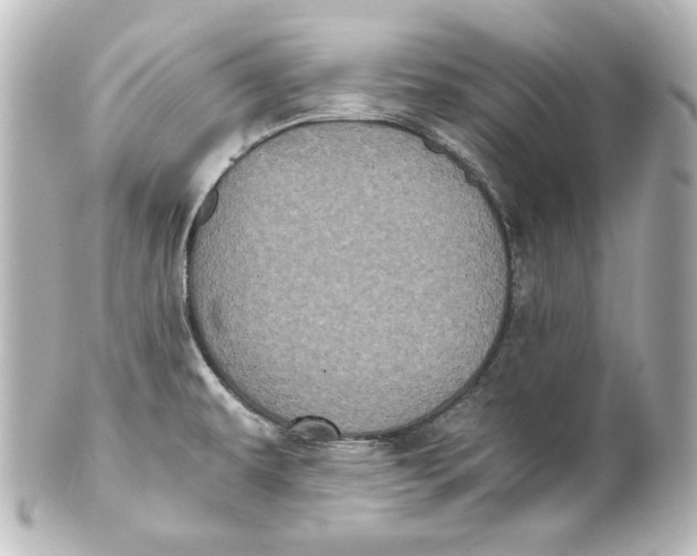 X0000101431479200807280950