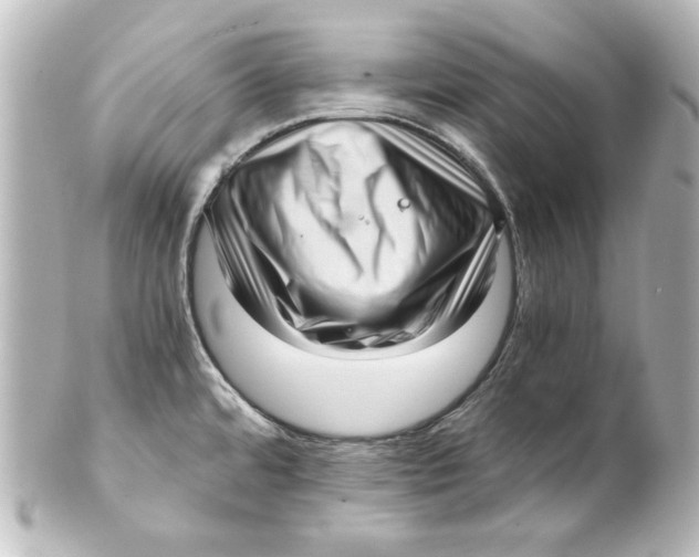 X0000101431480200807280949