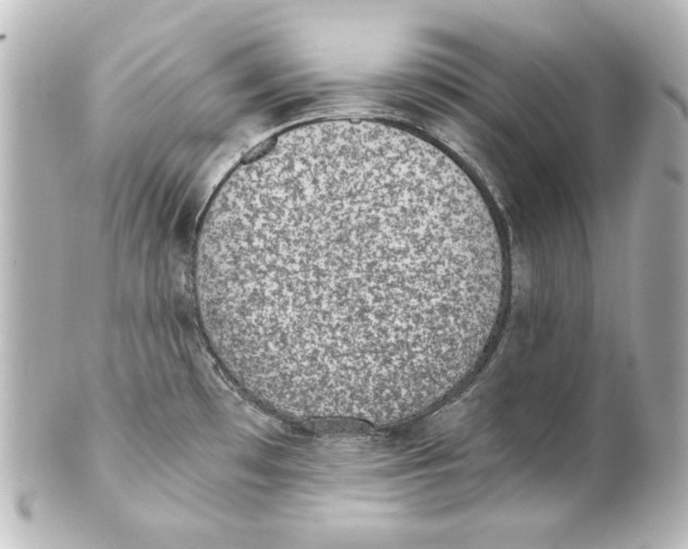 X0000101431481200807280949