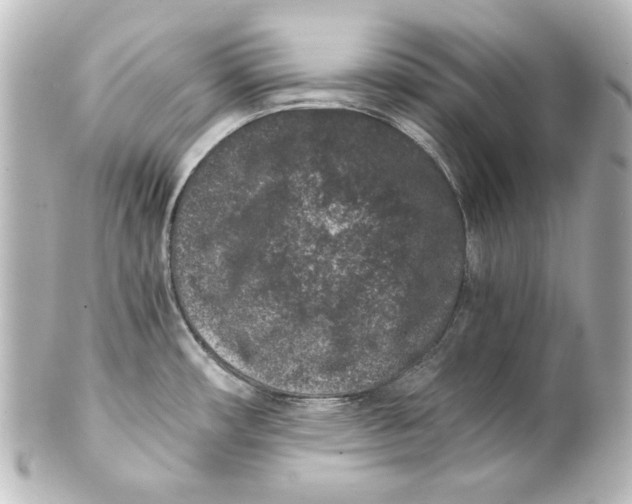 X0000101431482200807280949