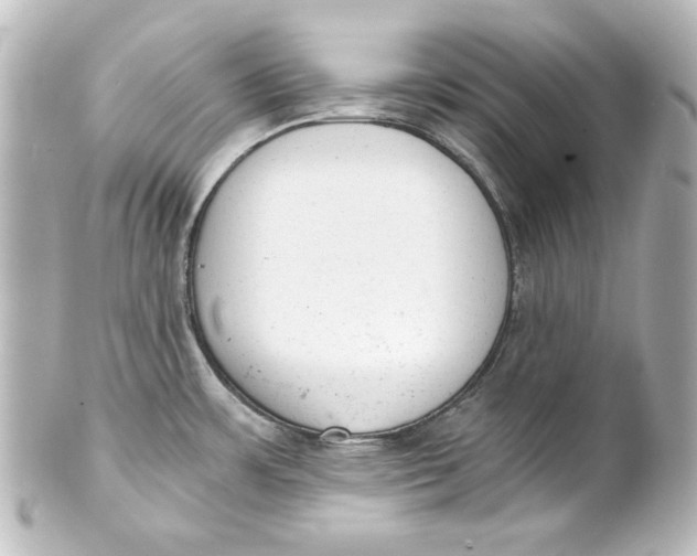 X0000101431483200807280949