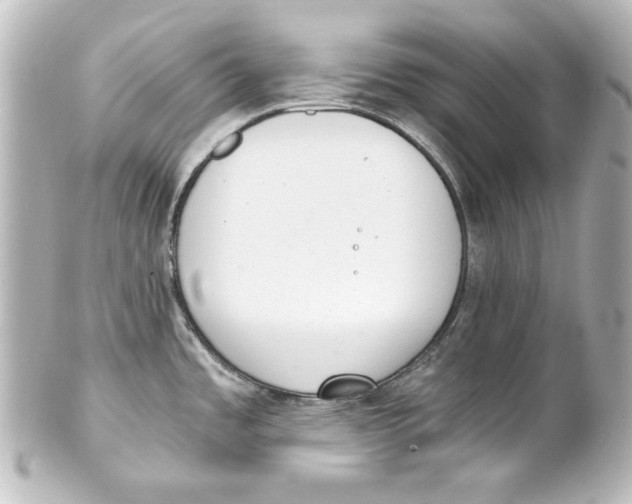 X0000101431485200807280949