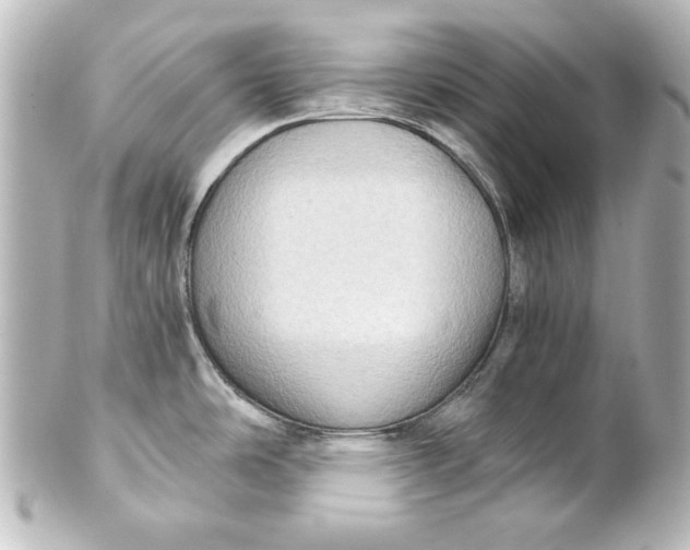 X0000101431486200807280949