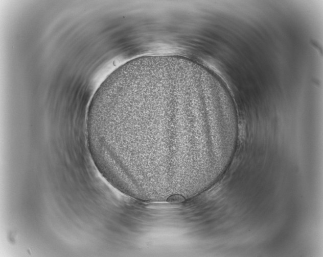 X0000101431487200807280949