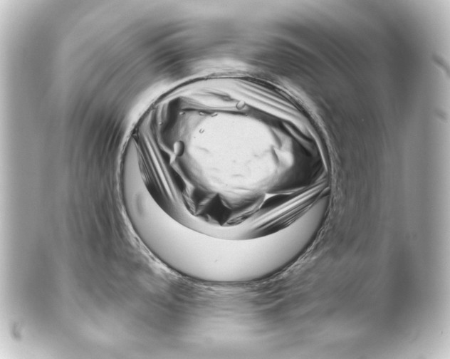 X0000101431488200807280949