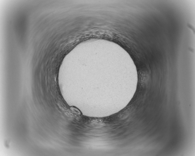 X0000101431489200807280949