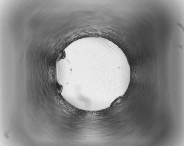 X0000101431490200807280949