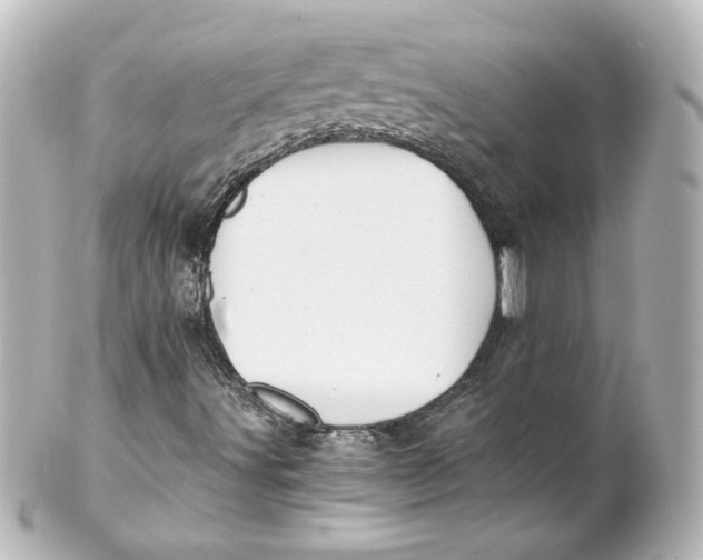 X0000101431491200807280949