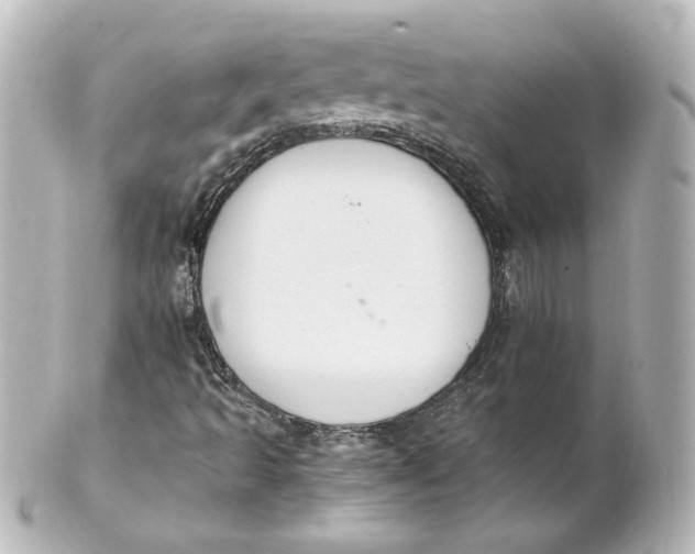 X0000101431493200807280949