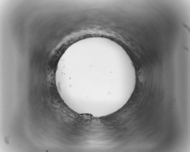 X0000101431495200807280949