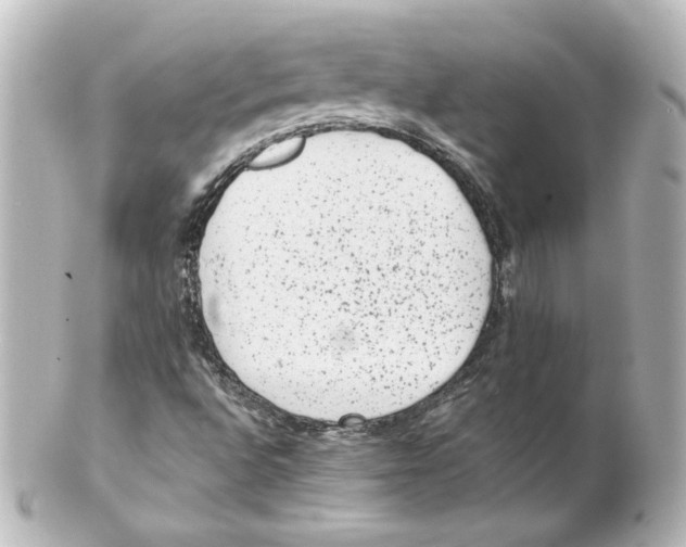 X0000101431496200807280949