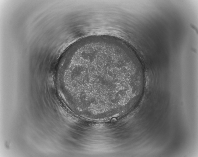 X0000101431497200807280949