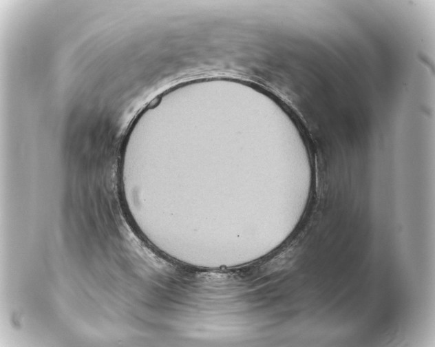 X0000101431500200807280949