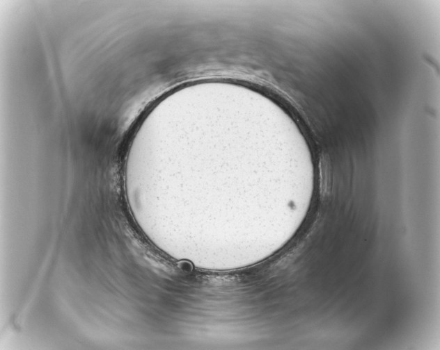 X0000101431501200807280949