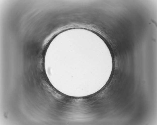 X0000101431502200807280949