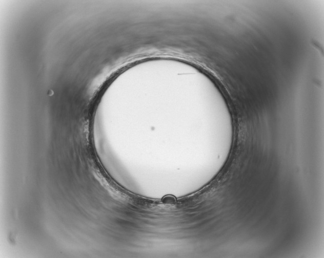 X0000101431503200807280949