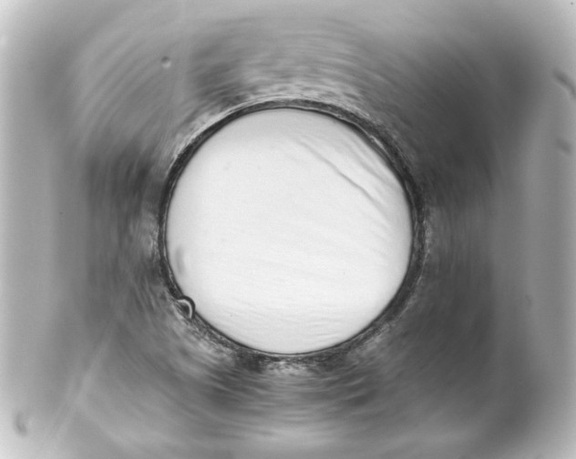 X0000101431505200807280949