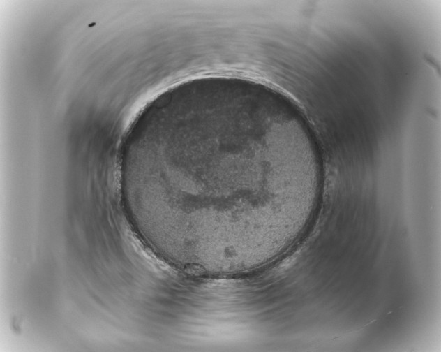 X0000101431506200807280949